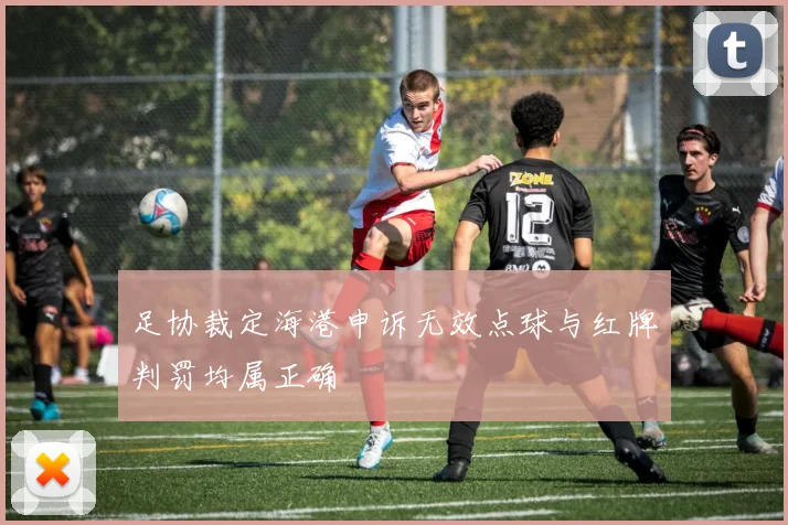足协裁定海港申诉无效点球与红牌判罚均属正确