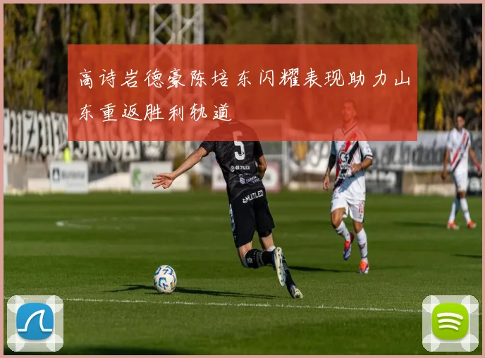 高诗岩德豪陈培东闪耀表现助力山东重返胜利轨道
